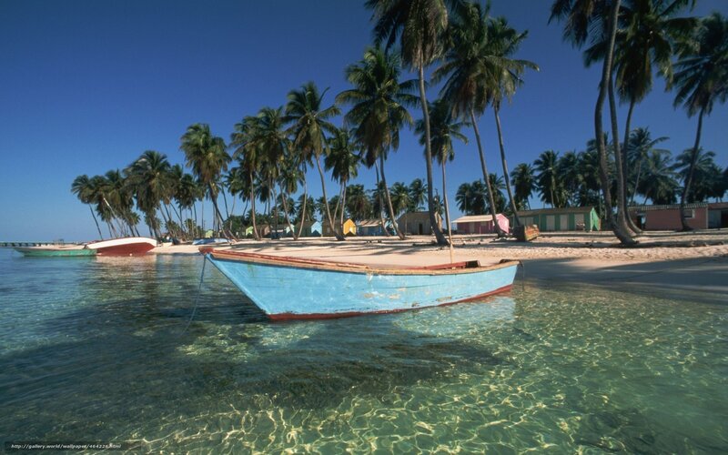 Blue Boat on Beach — Serene, Afternoon, Photograph, Palm Trees, Huts