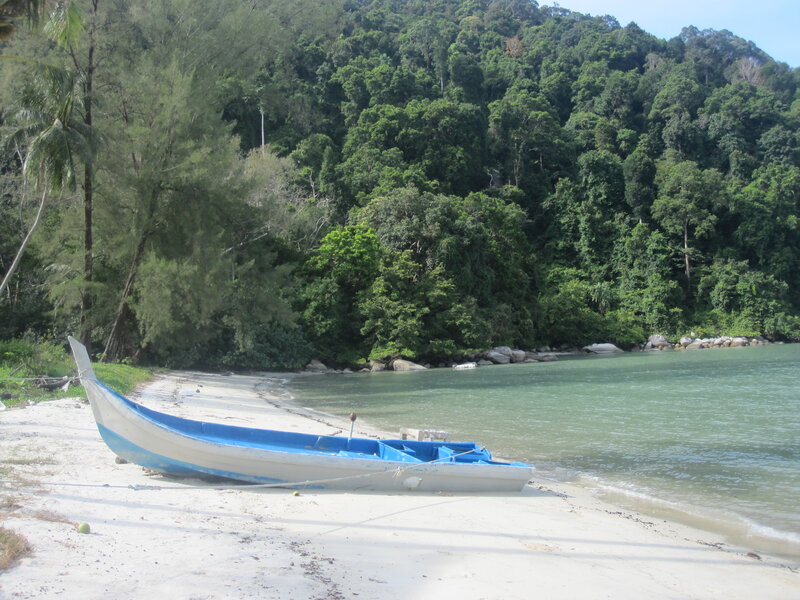 Blue Boat on Beach — White