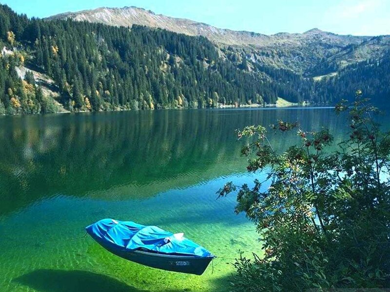 Blue Boat on Lake — Green, Serene, Afternoon, Photograph
