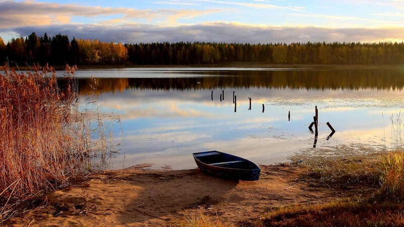 Blue Boat on Lake Shore — Brown, Serene