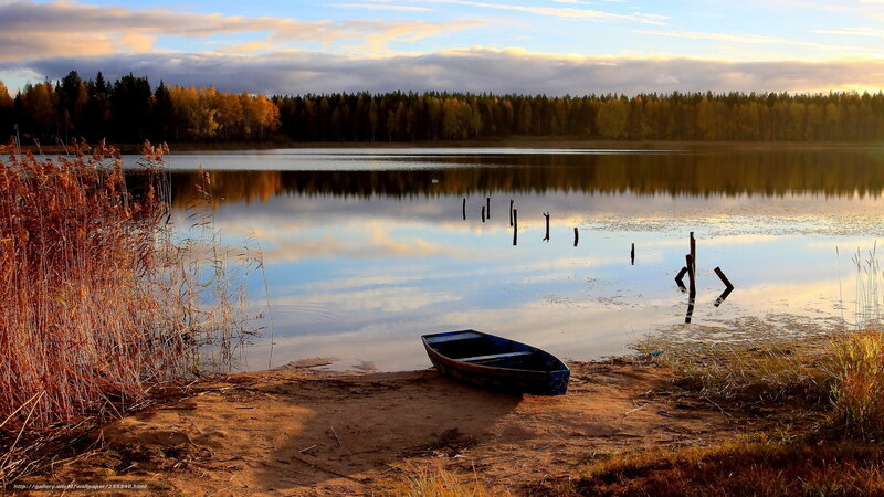 Blue Boat on Lake Shore — Brown
