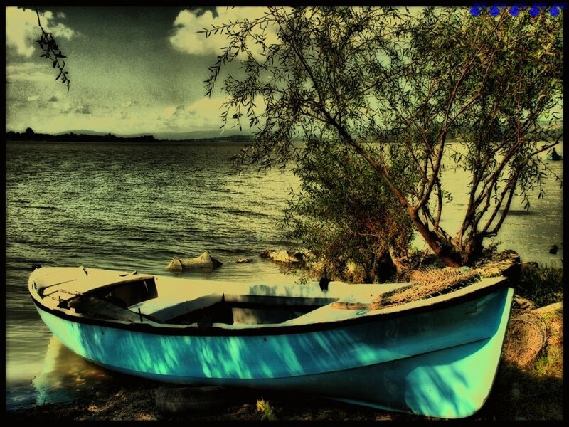 blue boat on lakeshore