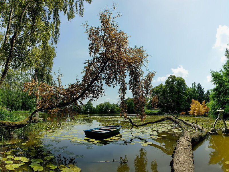 Blue Boat on Pond — Green, Serene