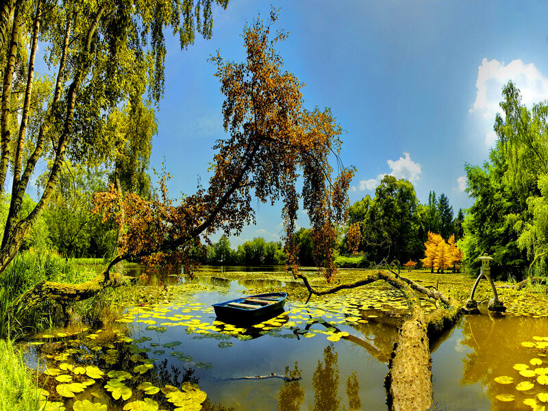 Blue Boat on Pond — Green