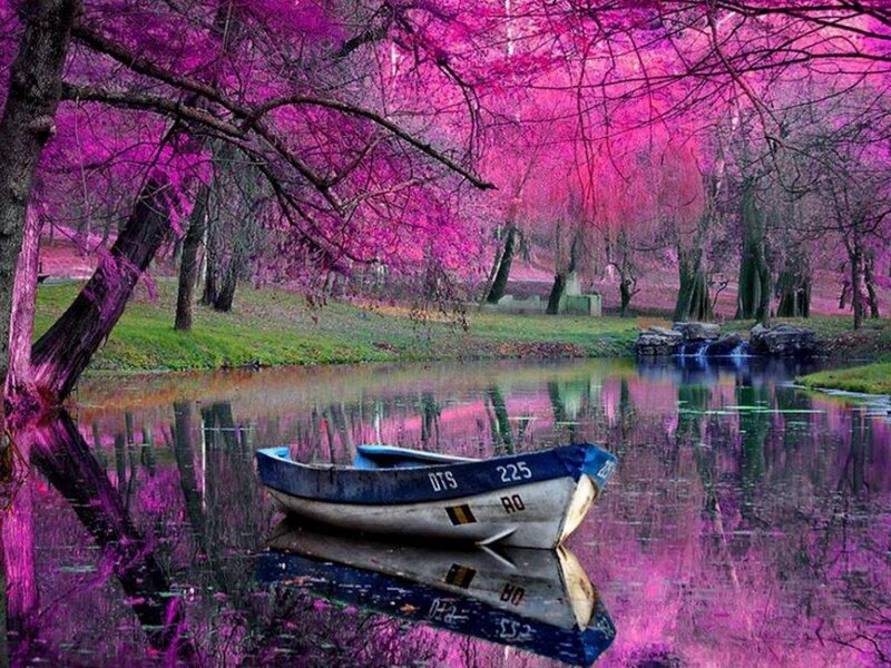 Blue Boat on Pond — Purple, Serene