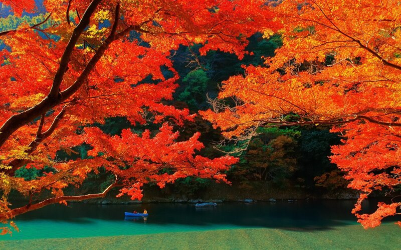Blue Boat on River — Red
