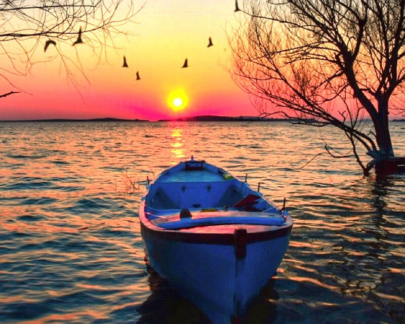 Blue Boat on Water — Orange, Serene