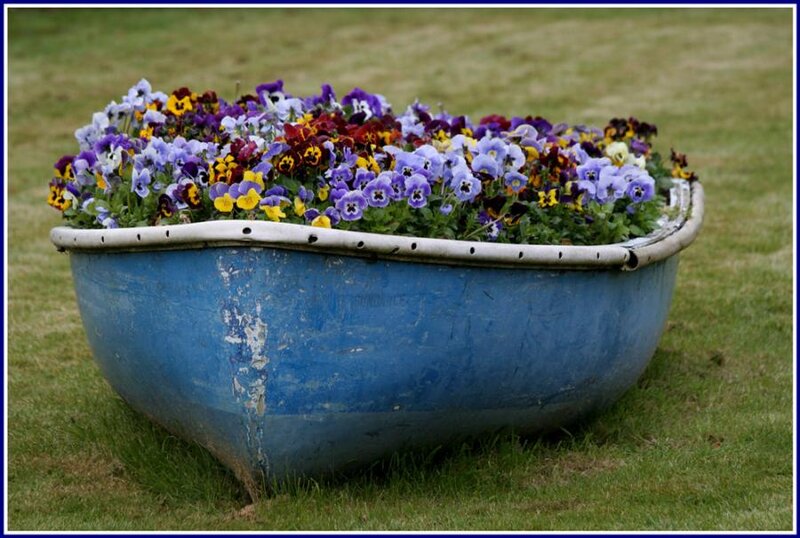 Blue Boat Planter