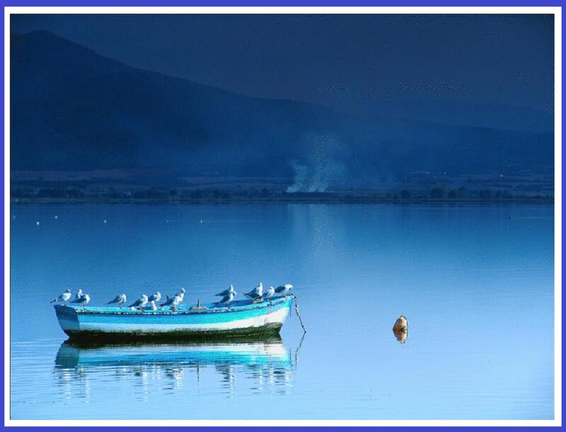 Blue Boat with Birds