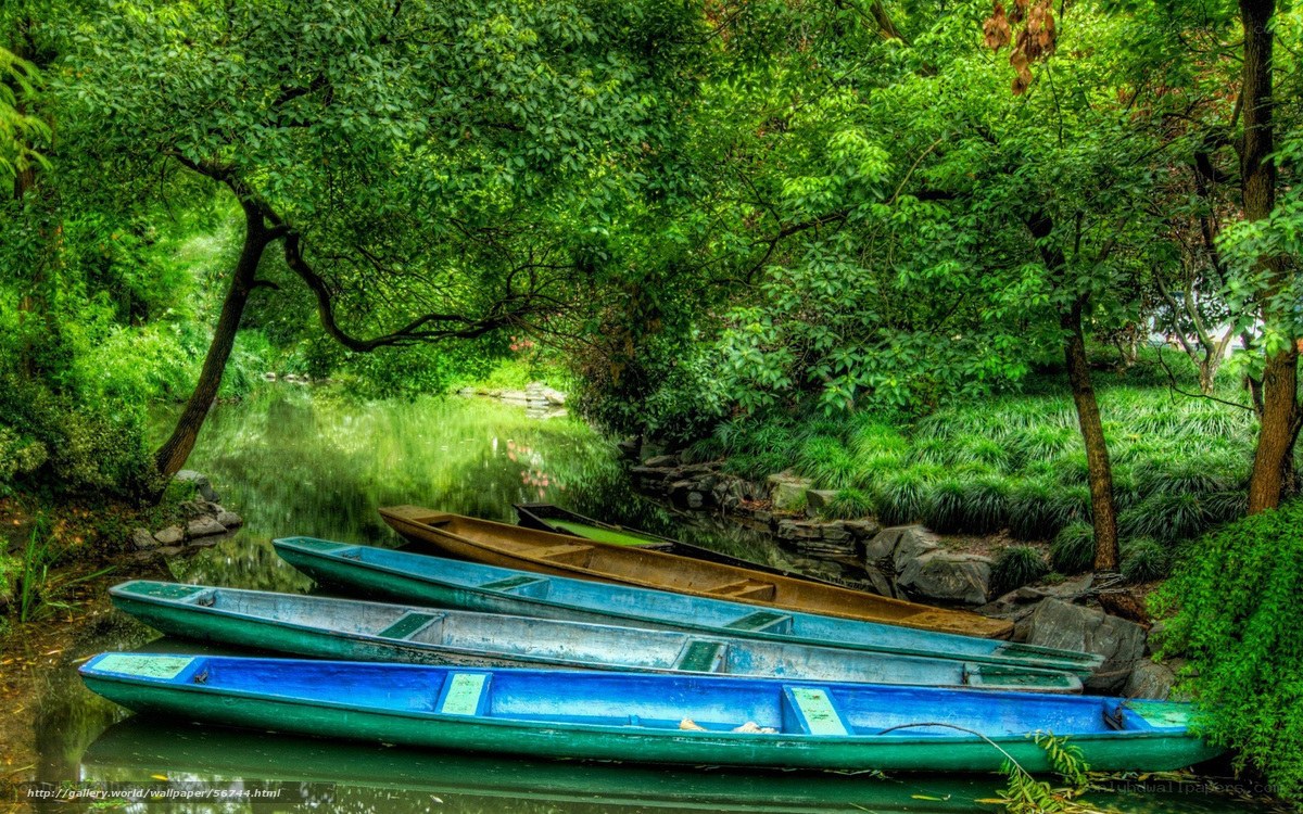 Blue boats on a forested river