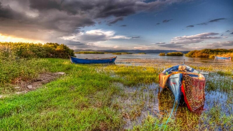 Blue Boats on Marshland — Green