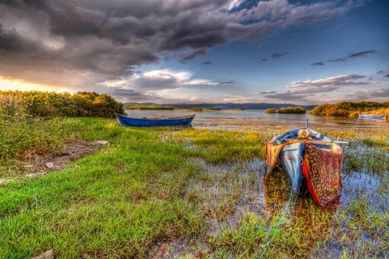 Blue Boats on Marshland