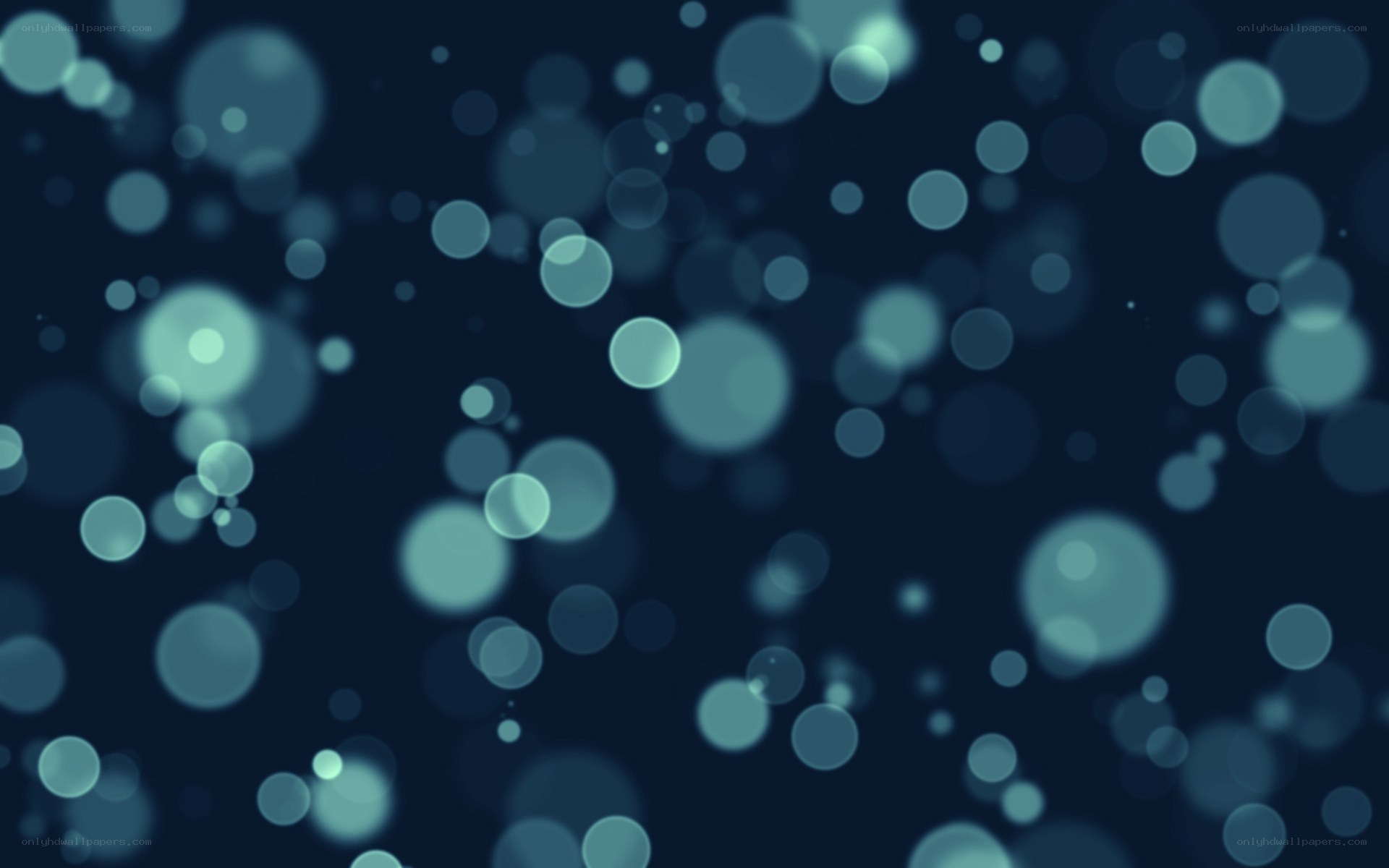 blue bokeh light circles