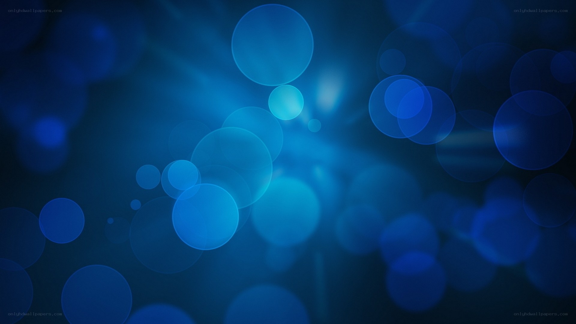 blue bokeh light circles