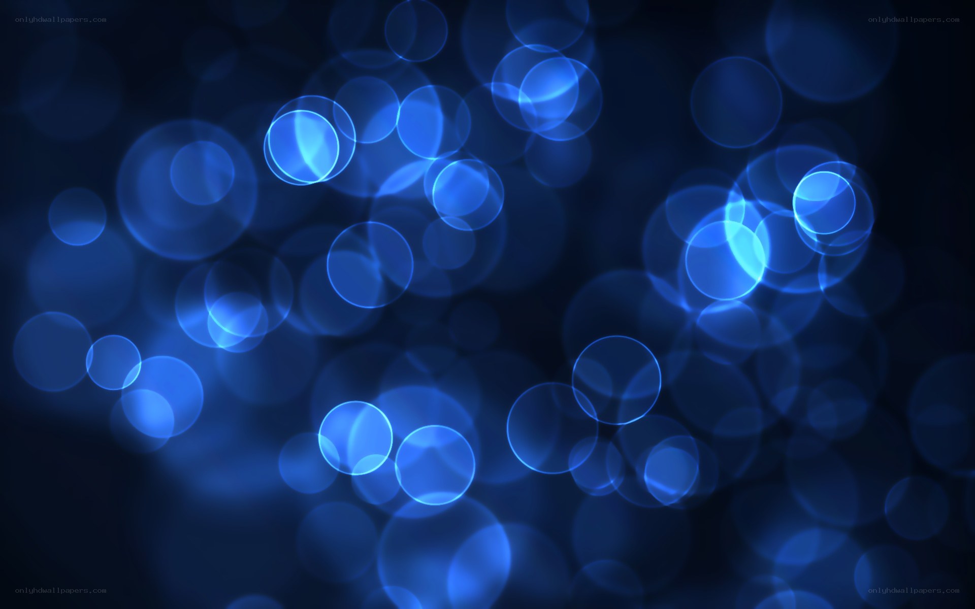 blue bokeh light circles