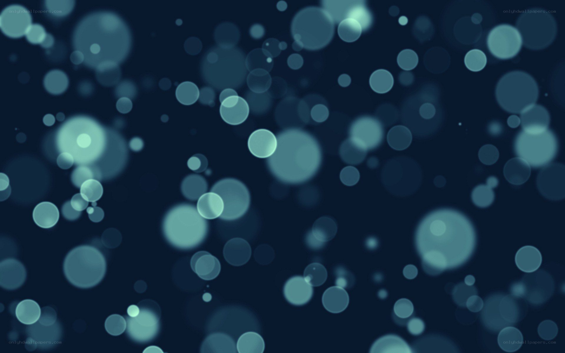 blue bokeh light circles