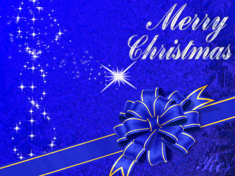 Blue Bow on Gift — Festive