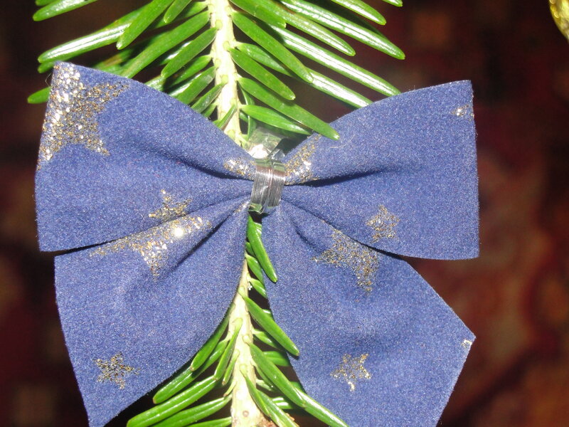 Blue Bow on Pine Branch