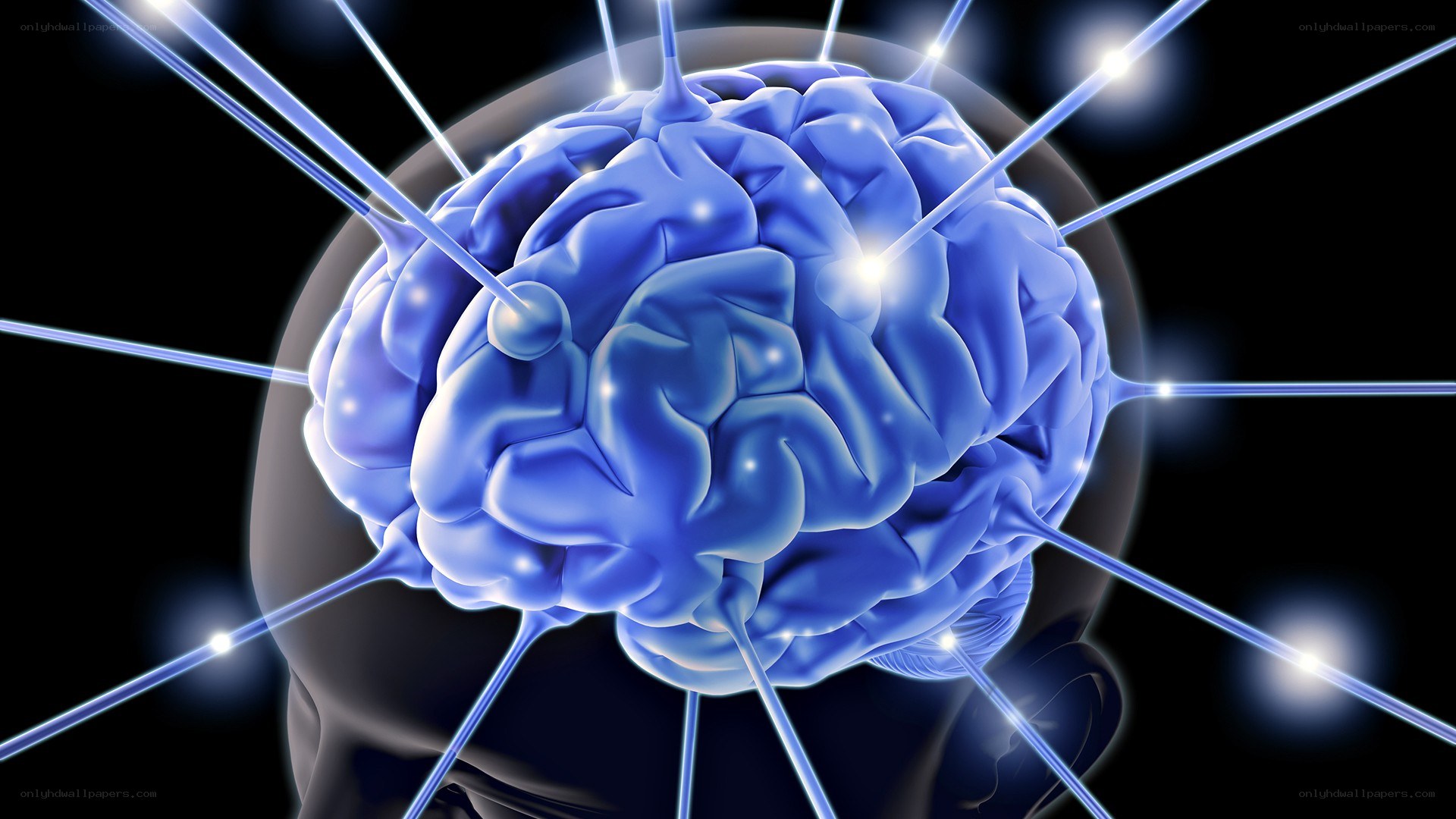 blue brain with neural connections