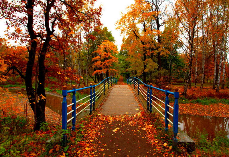 Blue Bridge in Autumn