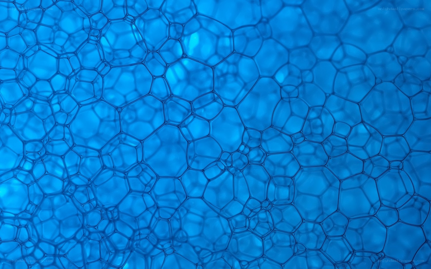 blue bubble foam pattern