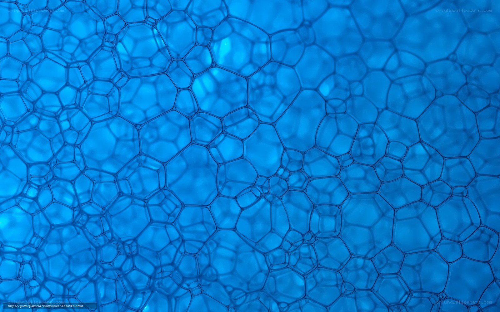blue bubble foam texture