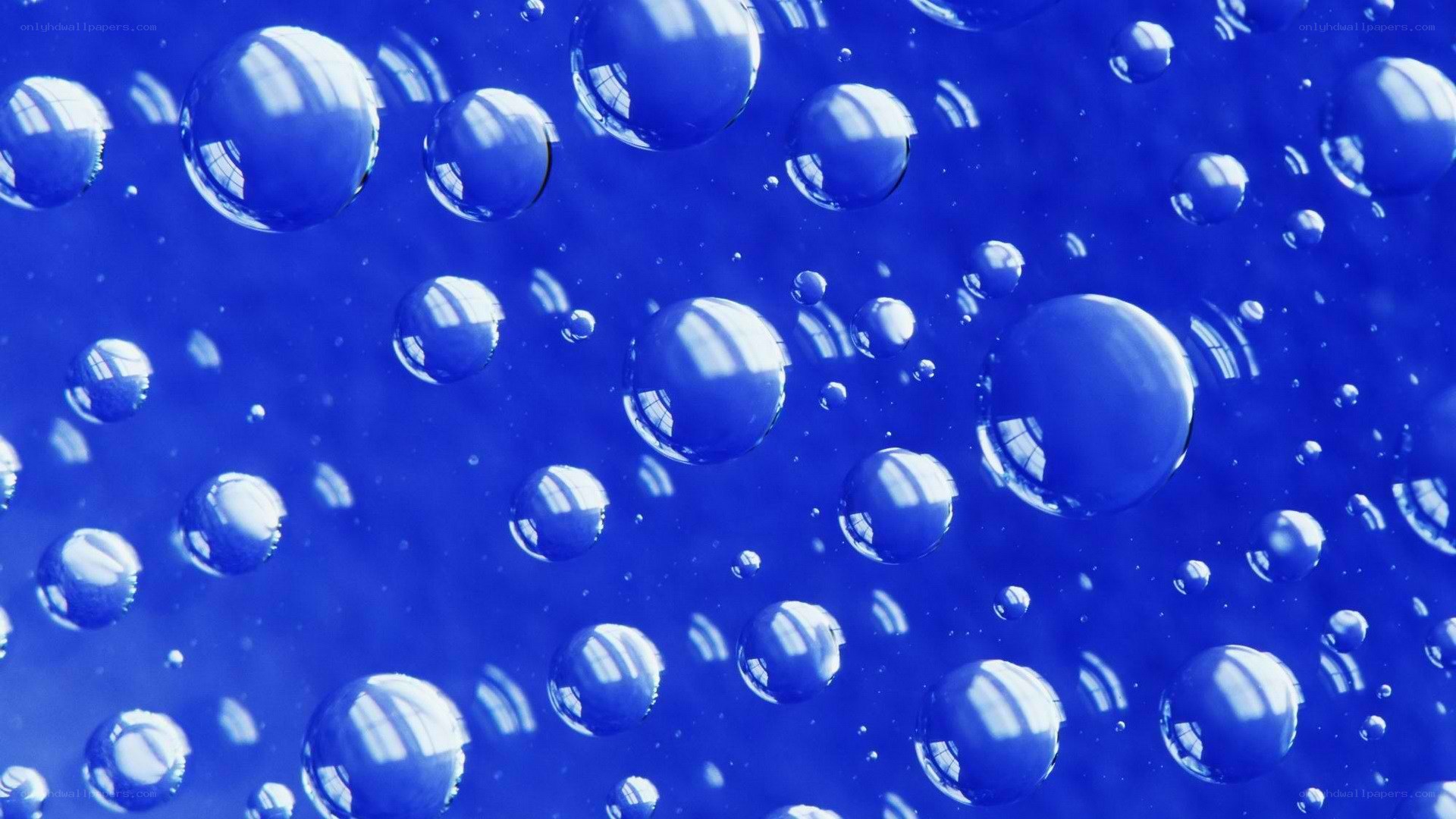 Blue bubbles on a blue background