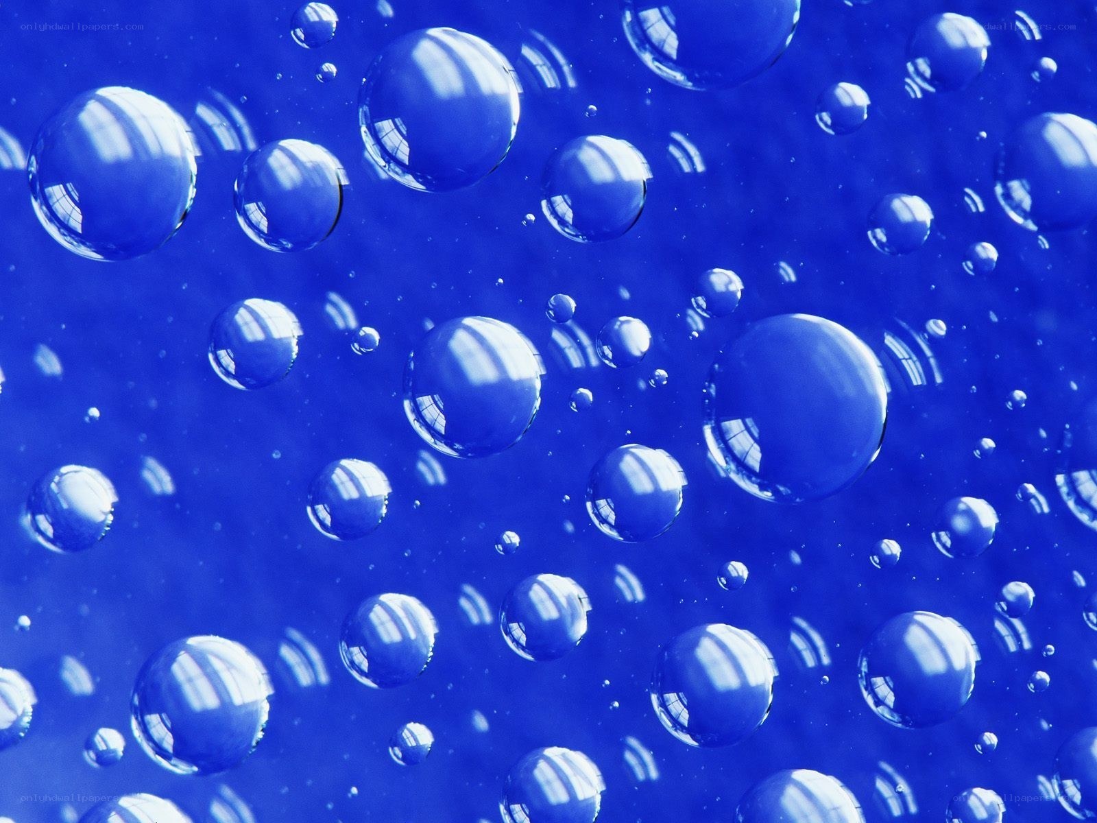 Blue bubbles on a blue surface