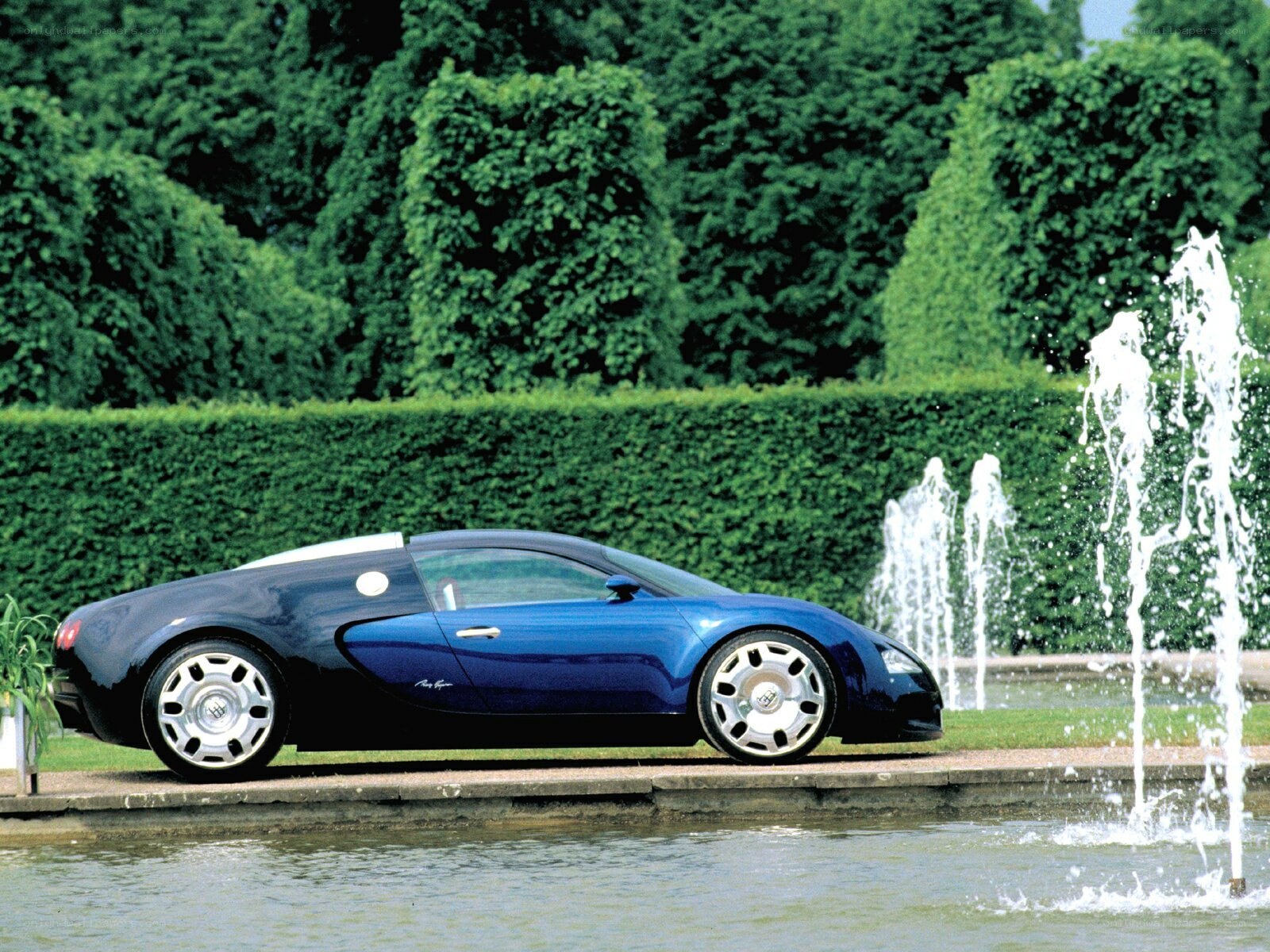 Blue Bugatti Veyron in garden