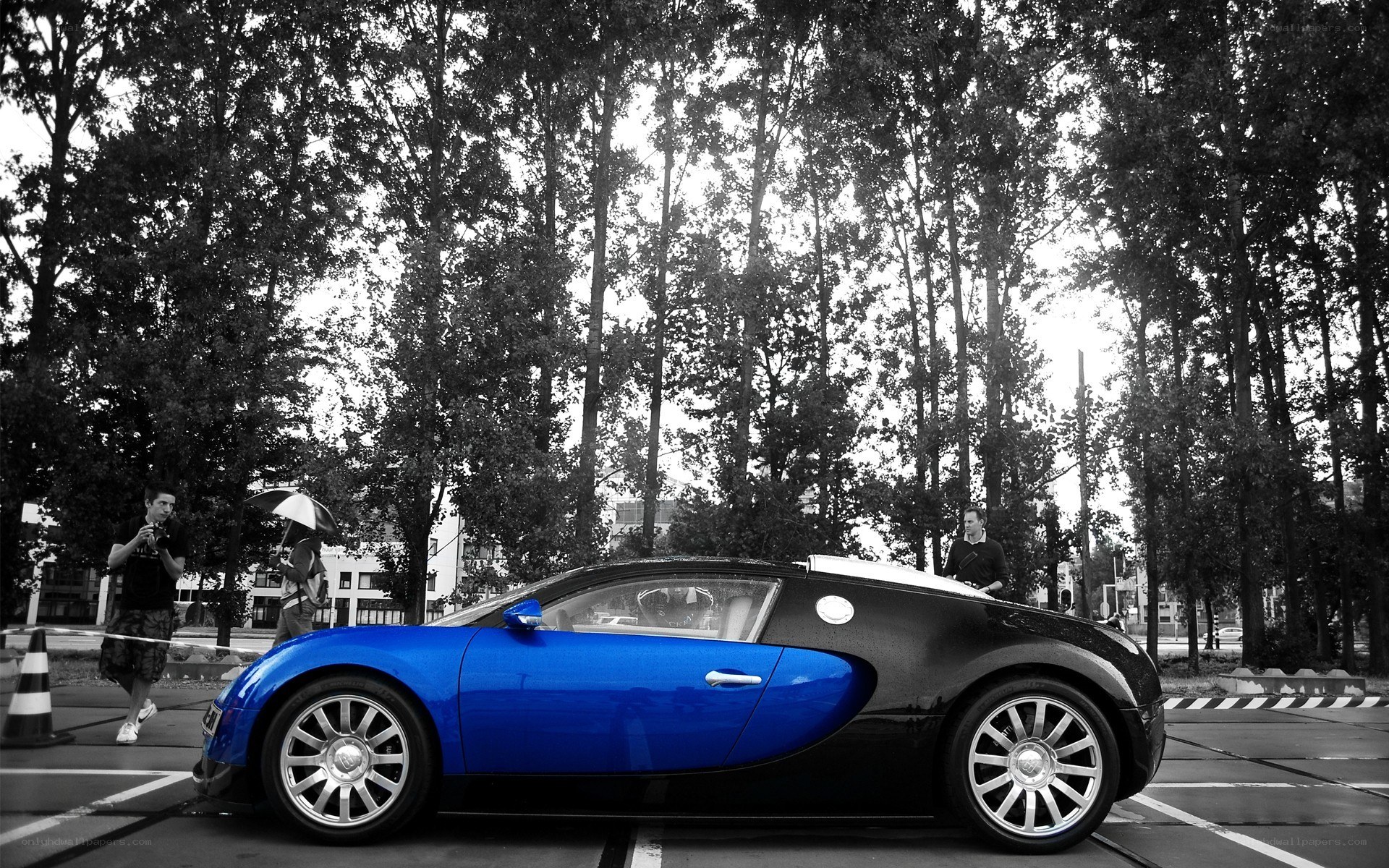 Blue Bugatti Veyron on display