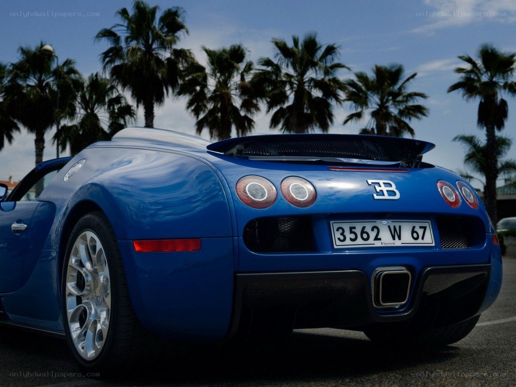 Blue Bugatti Veyron rear view