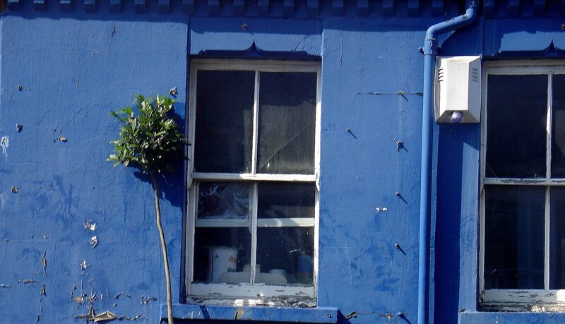 Blue Building Facade