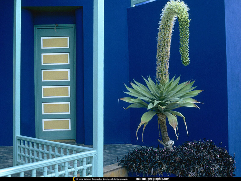 Blue Building with Plant