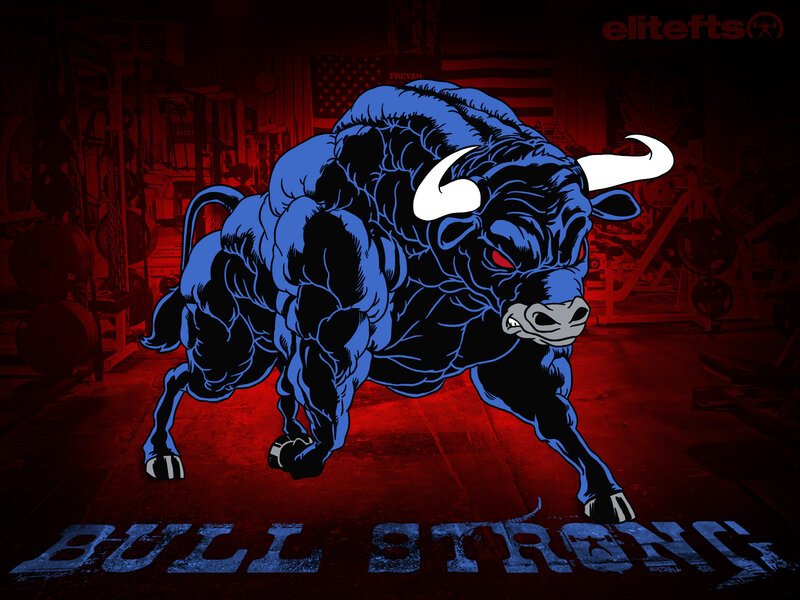 Blue Bull in Gym
