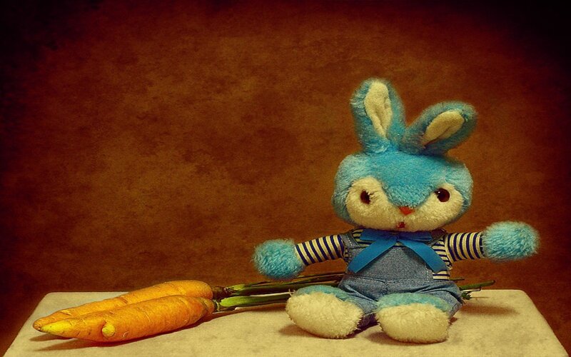 Blue bunny with carrots