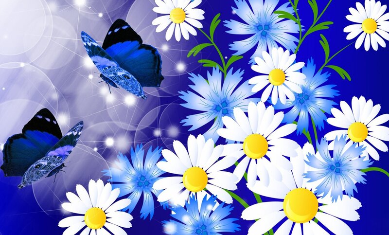 Blue Butterflies and Daisies — Dreamy
