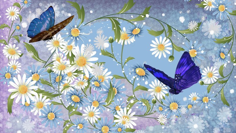 Blue Butterflies and Daisies — Serene
