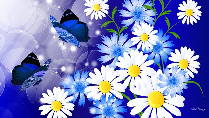 Blue Butterflies and Daisies