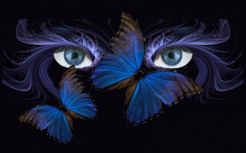 Blue Butterflies and Eyes