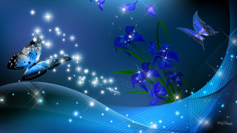 Blue Butterflies and Flowers — Dreamy, Night