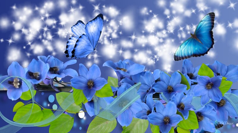 Blue Butterflies and Flowers — Serene, Night