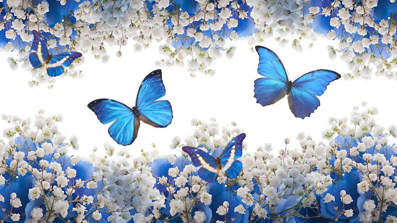 Blue Butterflies and Flowers — Serene, Spring, Digital Art