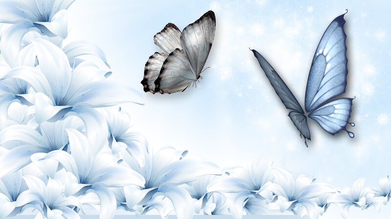 Blue Butterflies and Lilies — White