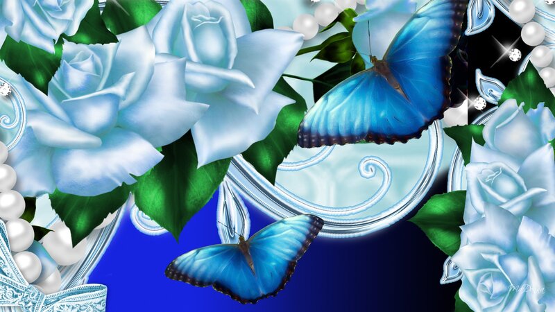 Blue Butterflies and White Roses