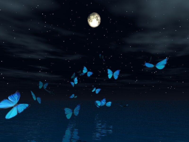Blue Butterflies at Night — Serene