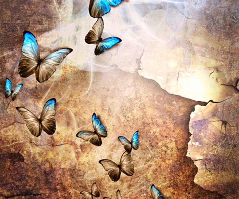 Blue Butterflies Flying — Brown