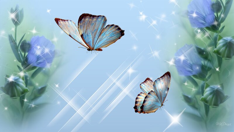 Blue Butterflies Flying — Serene