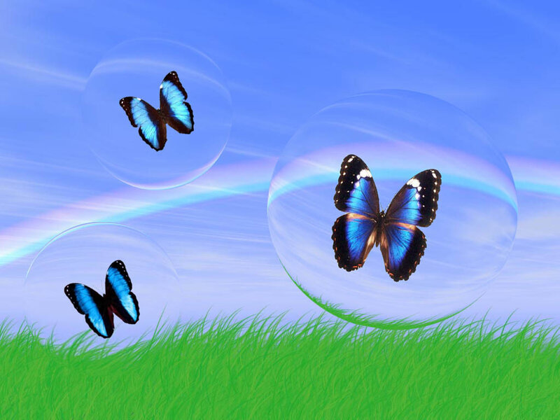 Blue Butterflies in Bubbles — Serene, Afternoon
