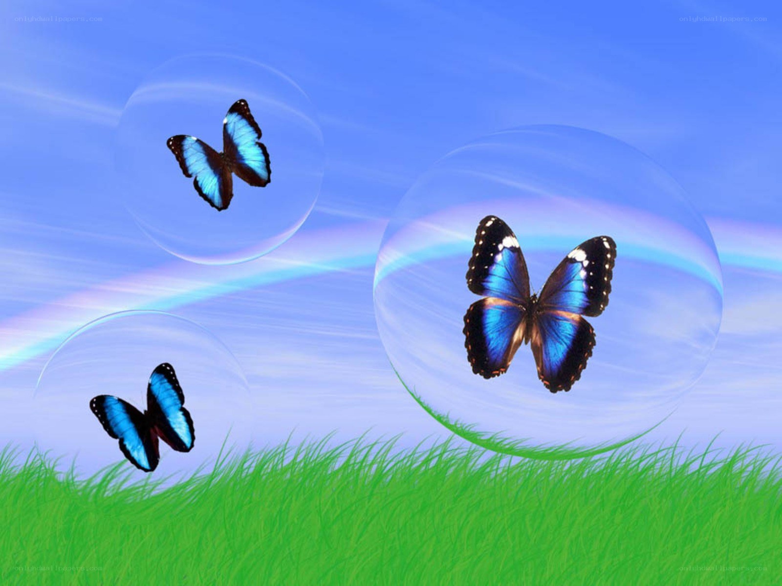 Blue butterflies in bubbles