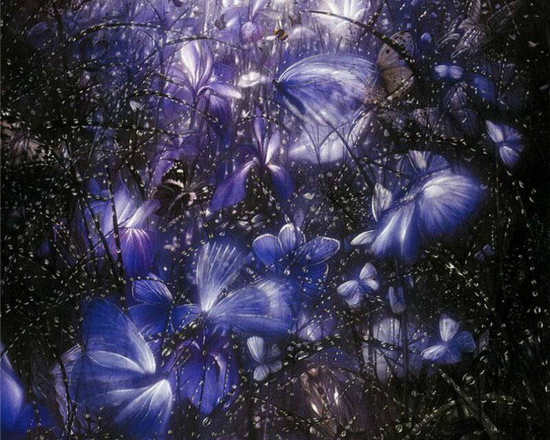 Blue Butterflies in Dark Field